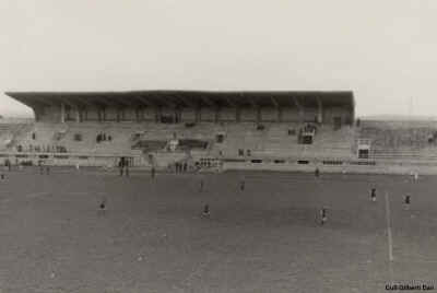 Allemands-stade-Dijon7.JPG (105717 octets)