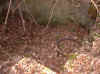 Fou22fev03-008.JPG (50873 octets)