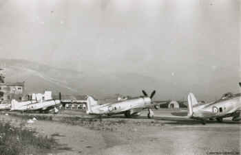 P-47_Mousquetaire.JPG (104222 octets)