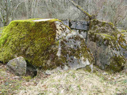 2007-03-31-26.JPG (102263 octets)