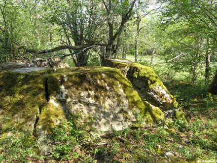2007-04-23-12.JPG (101750 octets)