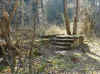 011.Messr.jpg (52006 octets)