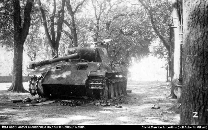 panther_dole_002.JPG (110786 octets)