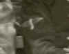 souboi002.JPG (5902 octets)