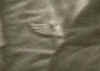 souboi003.JPG (2449 octets)