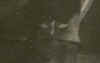 souboi004.JPG (5613 octets)