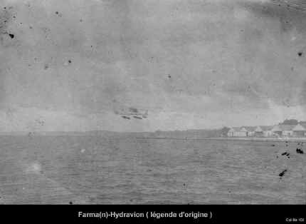 hydrafarman.JPG (48312 octets)