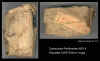 relicBox5.jpg (50613 octets)